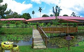 Sabah Tea Garden-Longhouses