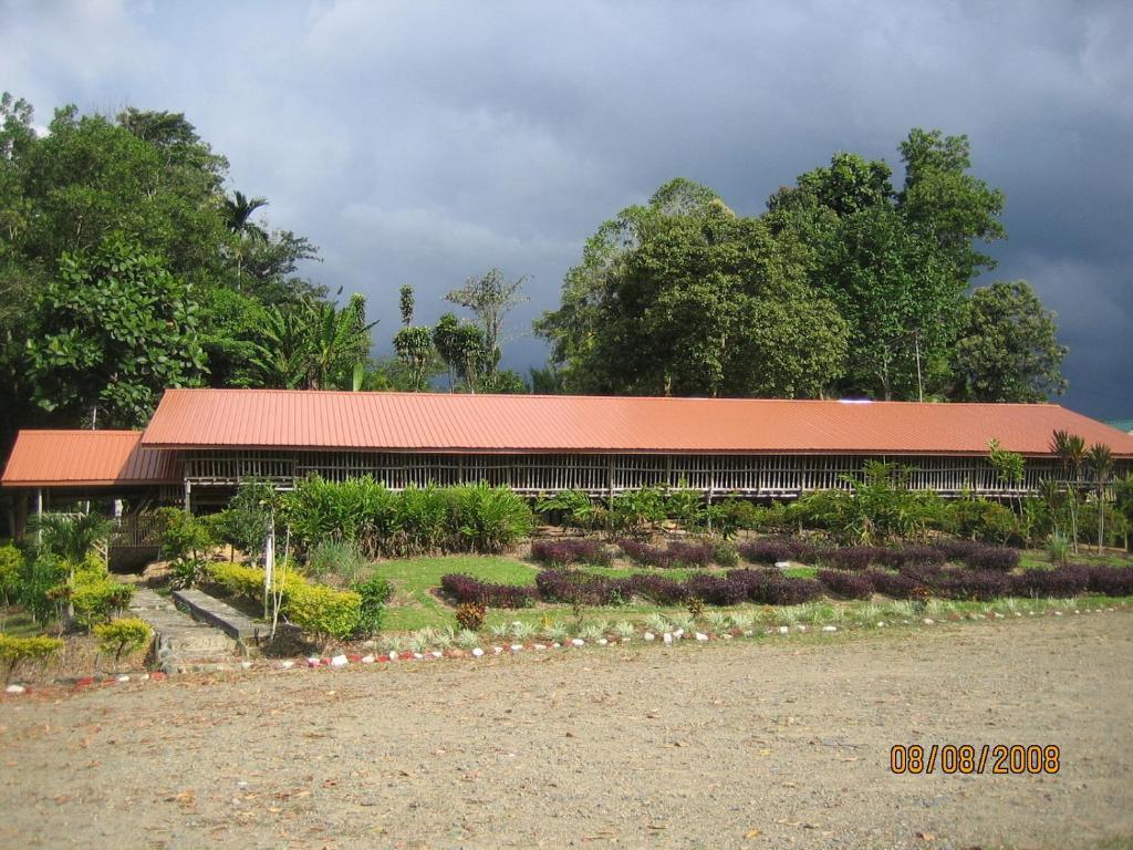 Sabah Tea Garden-Longhouses Ranau Luaran gambar