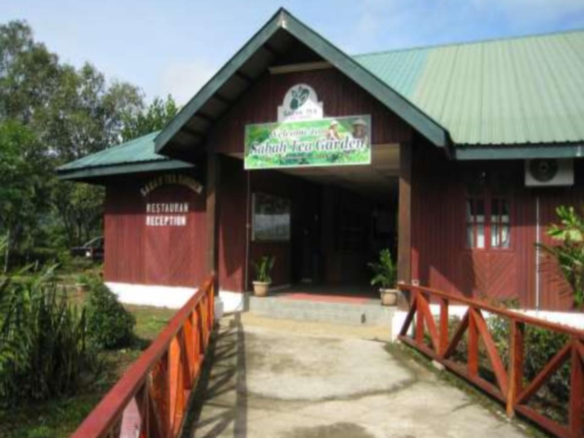 Sabah Tea Garden-Longhouses Ranau Luaran gambar