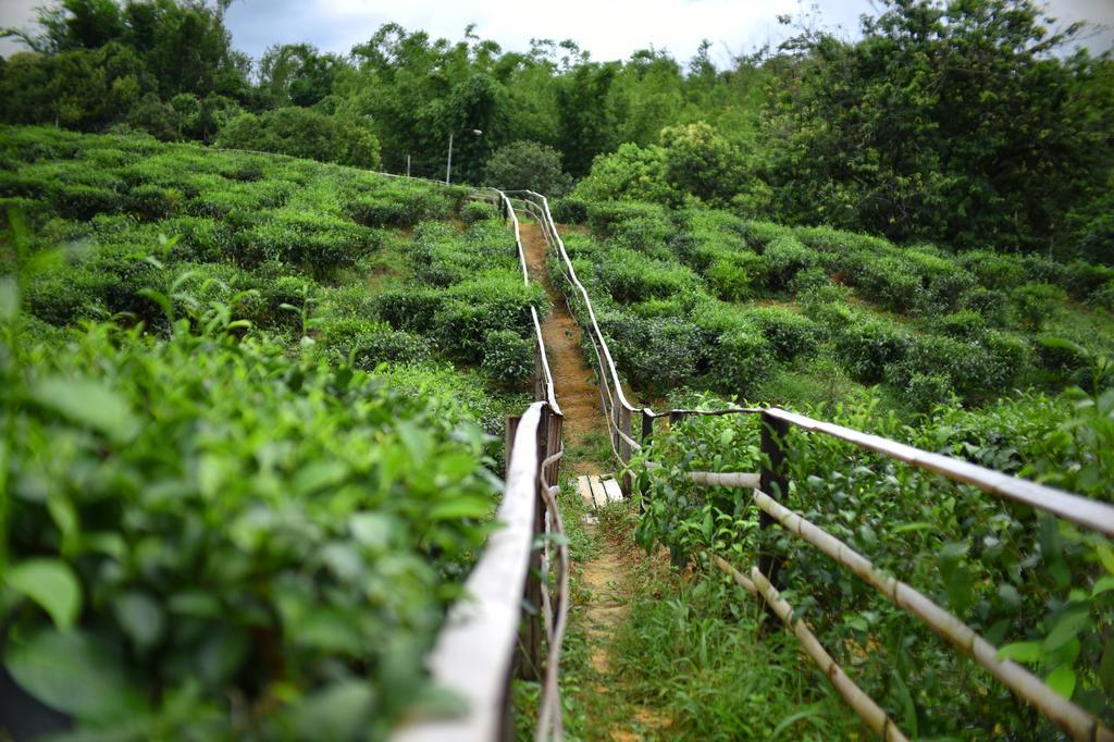Sabah Tea Garden-Longhouses Ranau Luaran gambar