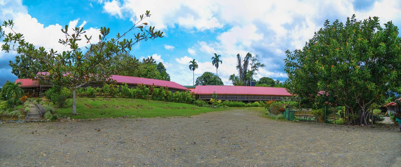 Sabah Tea Garden-Longhouses Ranau Luaran gambar